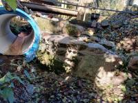 20251019_094947 (1024x768).jpg